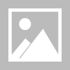 C7娱乐官方网站-热刺客场逼平伯恩茅斯，失去胜利机会(热刺vs伯恩利聚胜顽球汇)